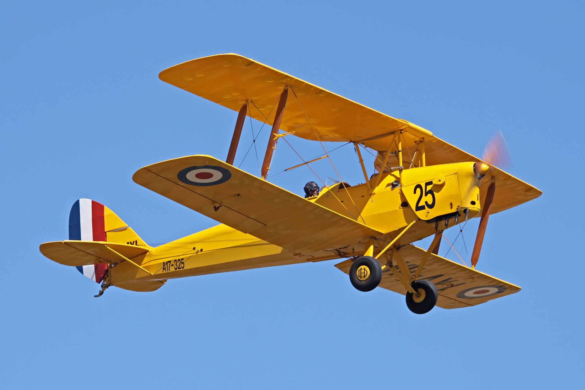 military historical club airplane tiger butterfly tiger moth biplane served as main training aircraft royal air force great britain developer de havilland de havilland 1930-1952 air show private collection retro