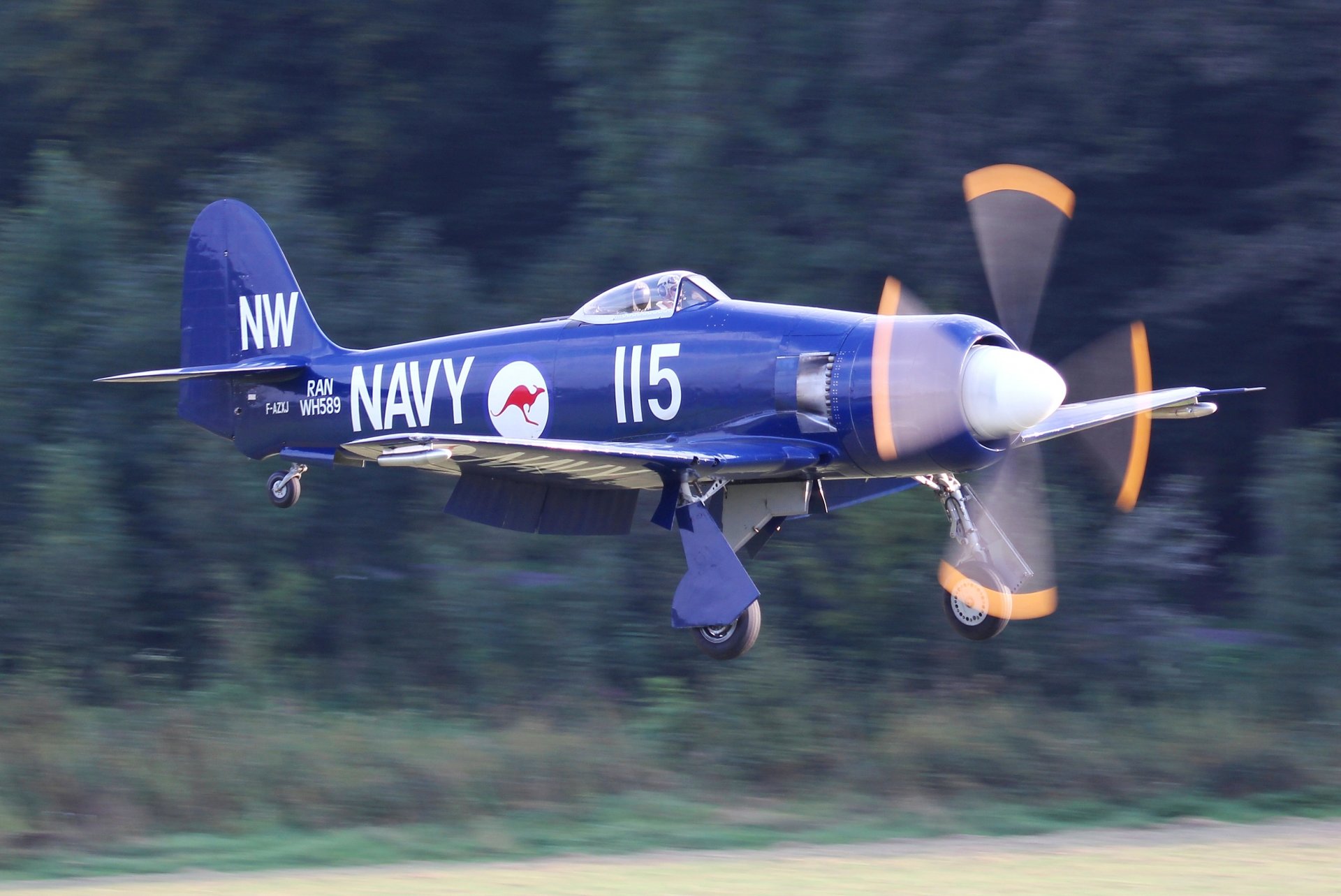 hawker rage of the sea fb.11 ran monoplace chasseur-bombardier base navale et aérodrome marine australienne ww2