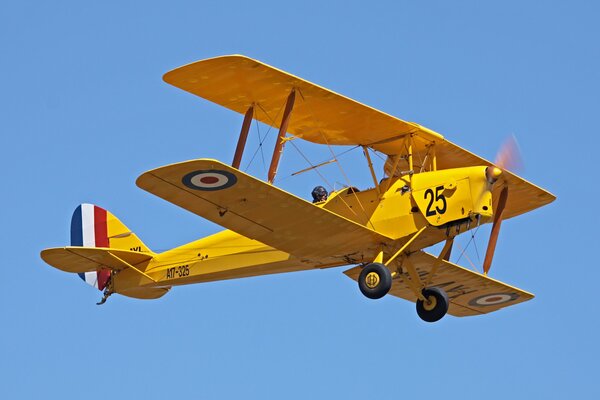 Altes gelbes Flugzeug Tigerschmetterling