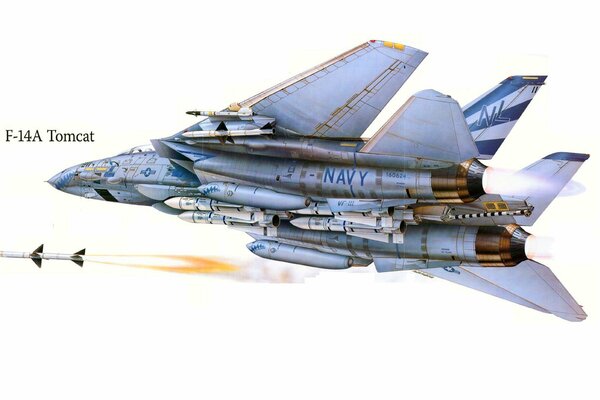 Missile launch by an American F-14 fighter