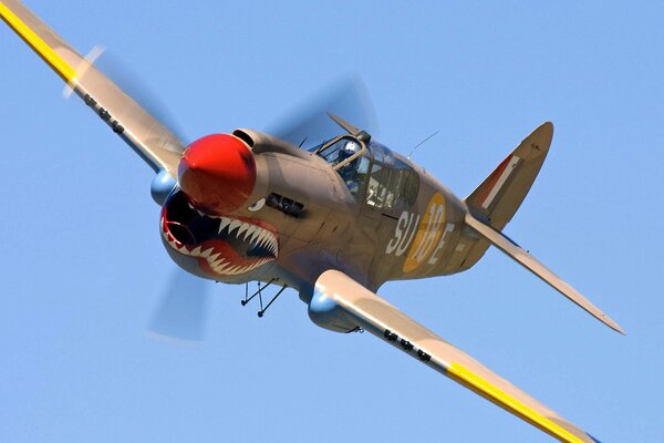 Aerografía de un avión de combate en forma de tiburón