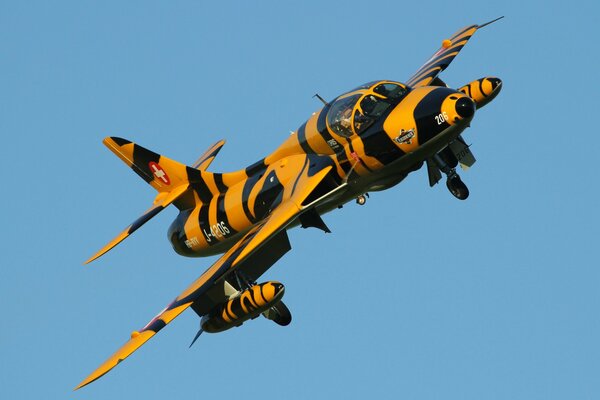 Истребитель бомбардировщик тигрового окраса в небе
