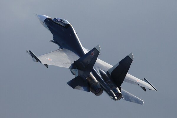 Grand avion de chasse double vole dans le ciel