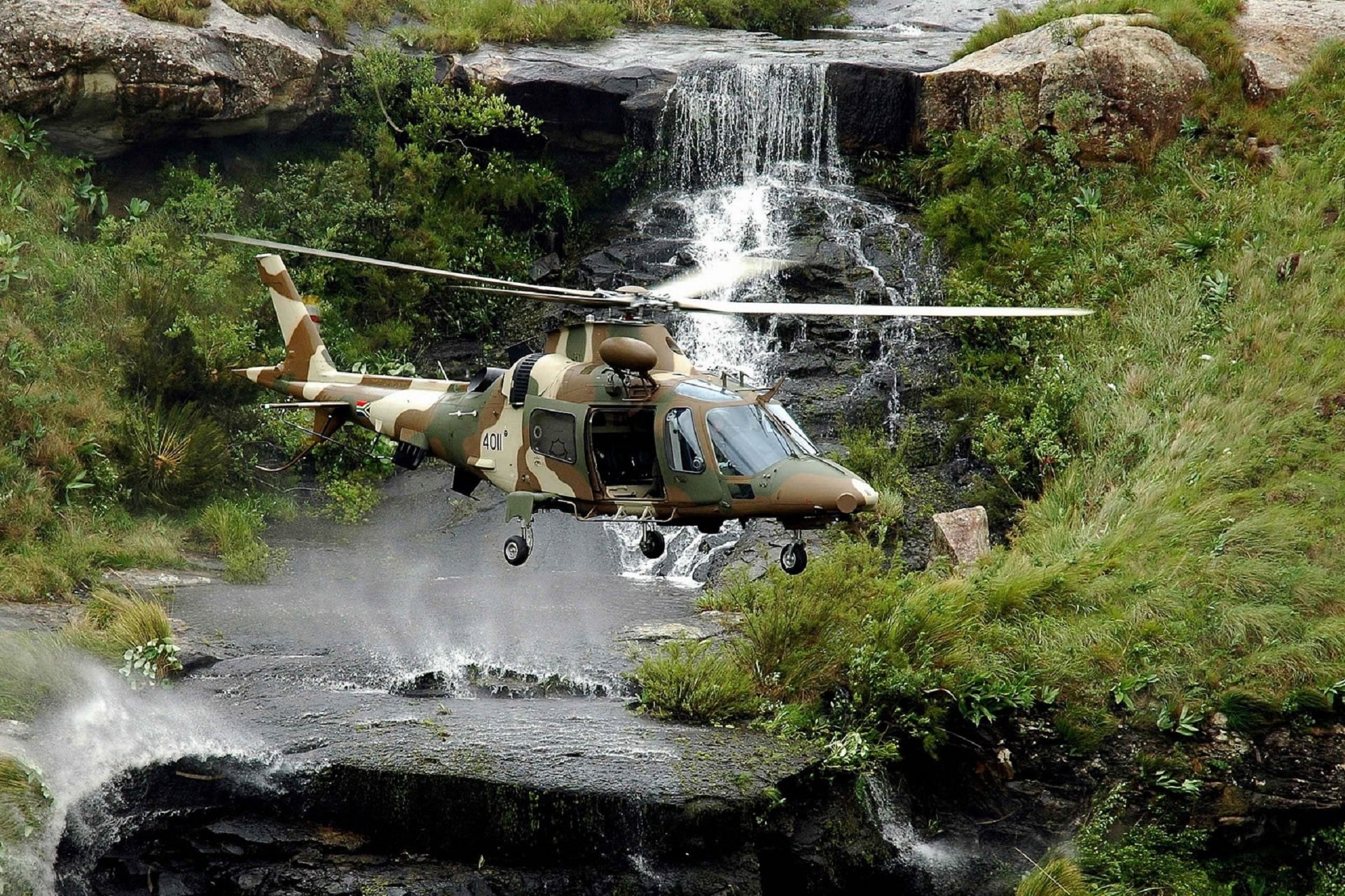 agusta a hirundo schwalbe mehrzweck südafrika wasserfall steine gras