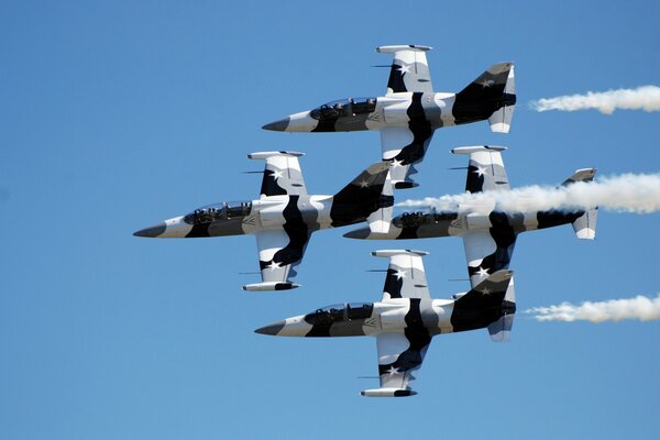 The Albatross I-39 fighter flies through the sky