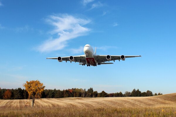 Landung eines Passagierflugzeugs über einem Feld