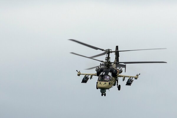 Latający Aligator Ka-52 na tle szarego nieba
