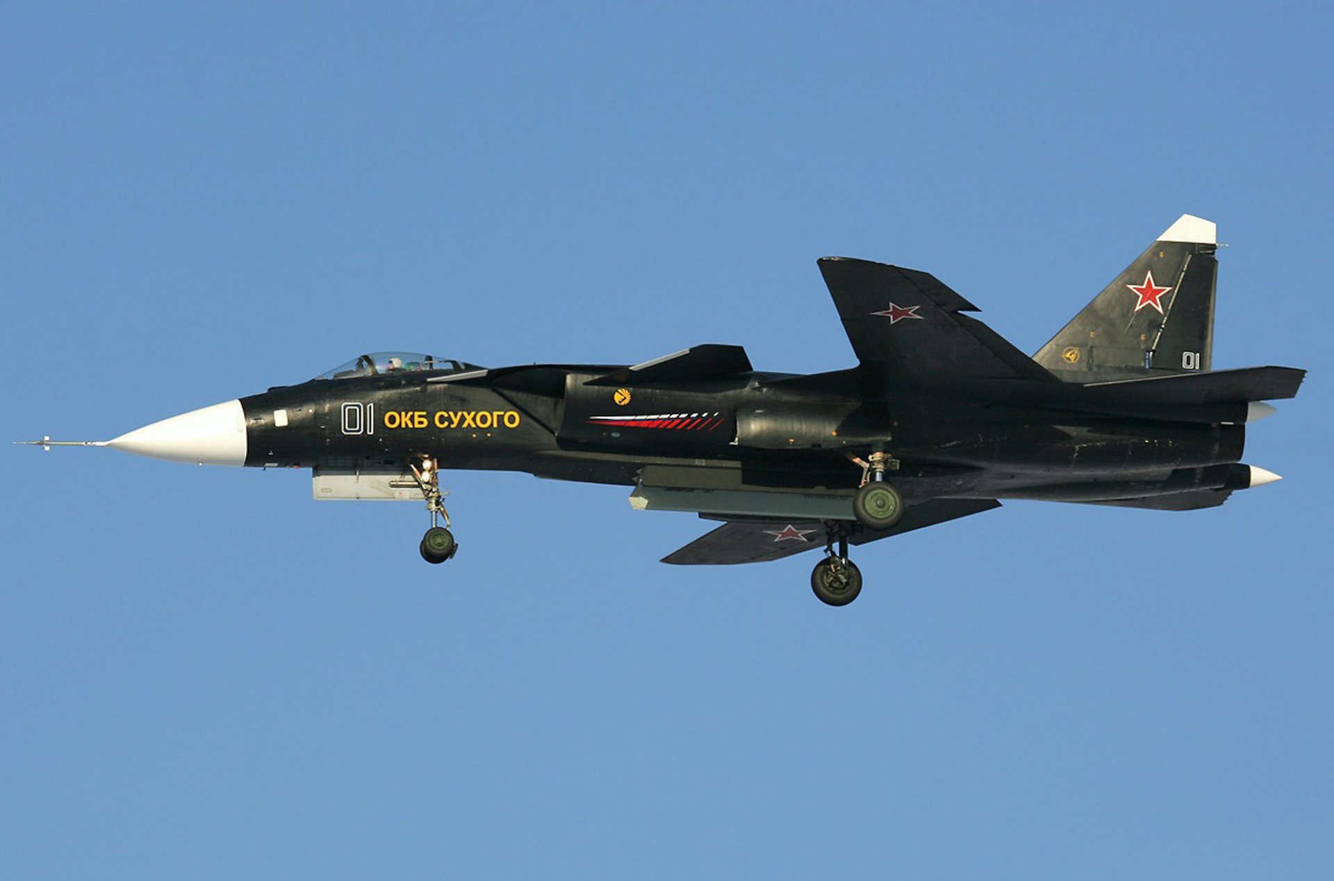 su-47 steinadler trocken