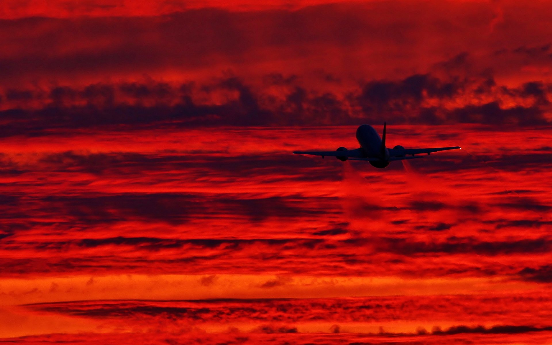 noche cielo avión