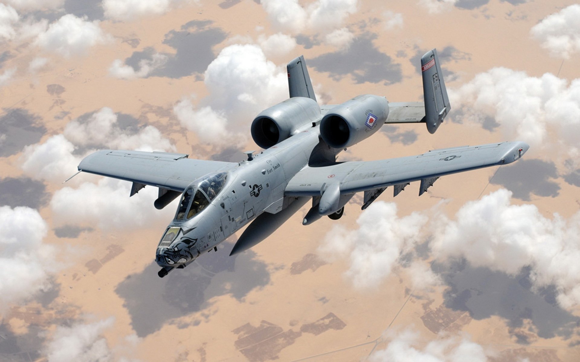 a-10 thunderbolt ii avión armas