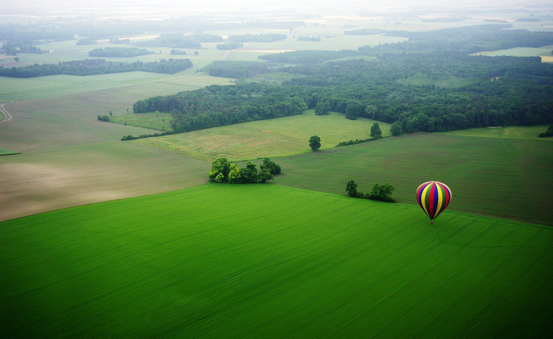 balon kolorowy czerwony niebieski żółty łąka pole drzewa natura piękne