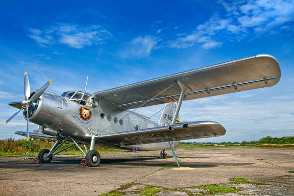 Silbernes Flugzeug steht auf dem Flugplatz