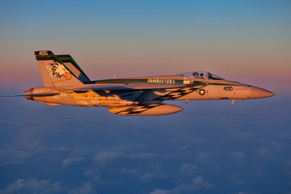 Predatory forms of a fighter in the sky, side view