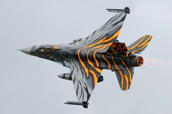 Chasseur f-16am dans une coloration inhabituelle