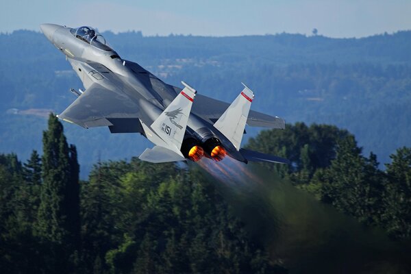 El avión McDonnell Douglas F-15 eagle despega en medio de un bosque