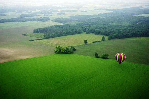 Ein Ballon auf einem üppig grünen Feld