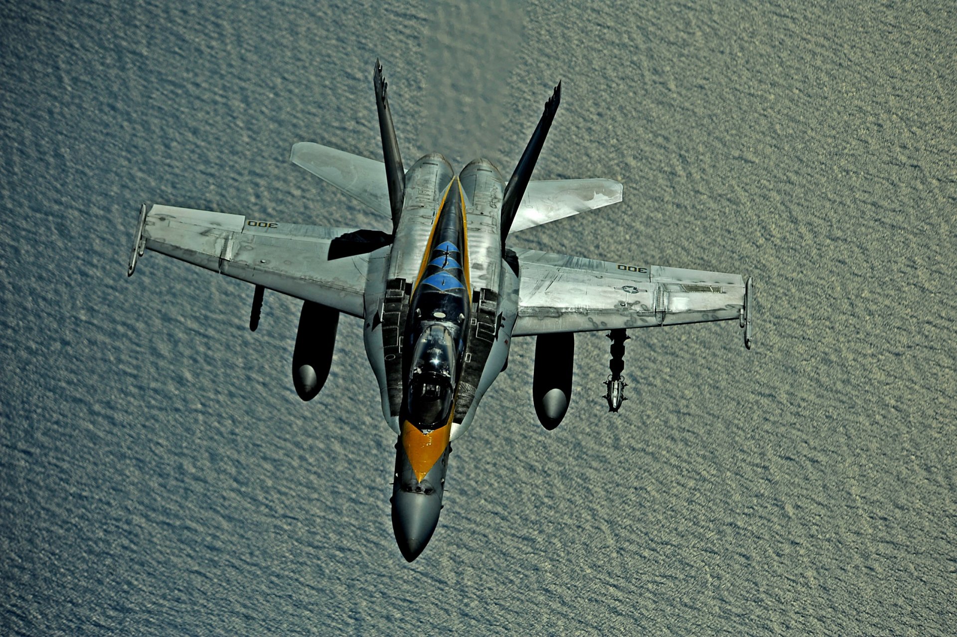 plane hornet f/a 18