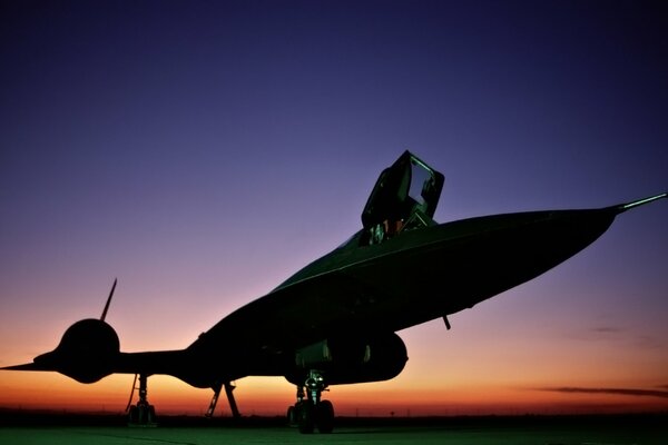 Plane blackbird at sunset