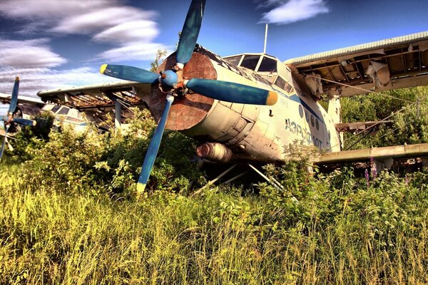 Flugzeugfriedhof Trümmer eines Maisbeckens