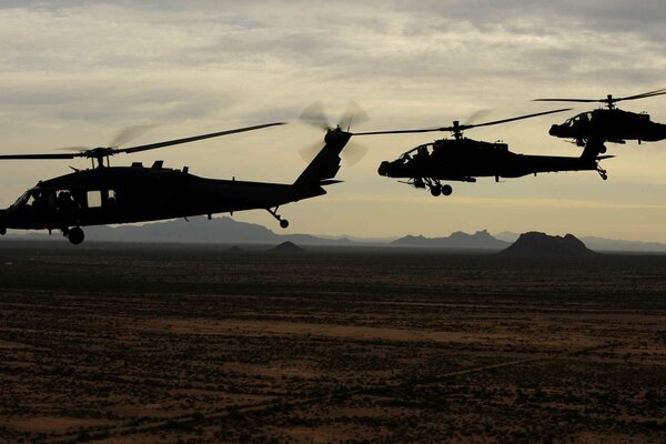 UH- 60 black hawk und ah- 64 apache Hubschrauber der US-Armee