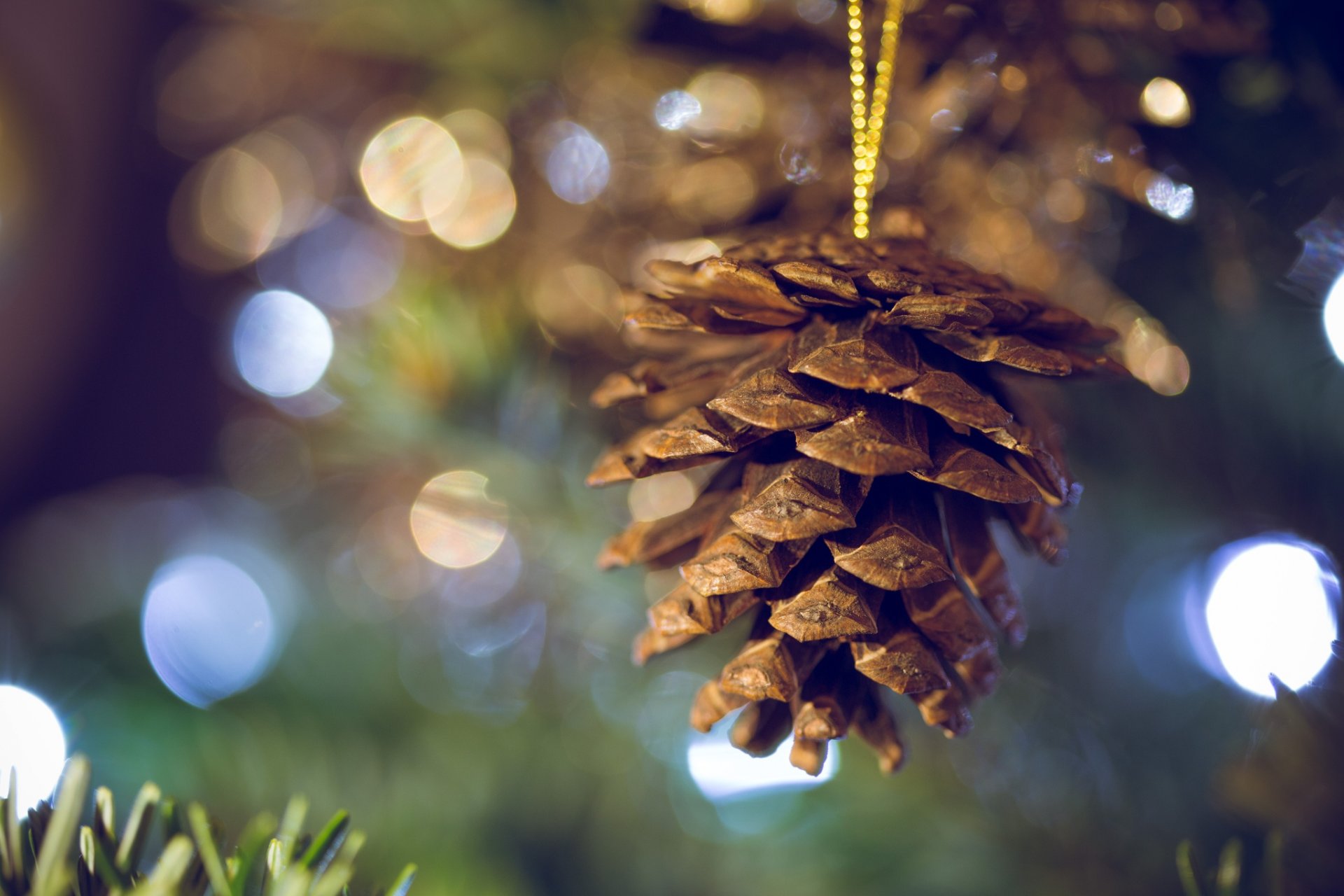 merry christmas new year 2016 pinecone spruce lights bokeh