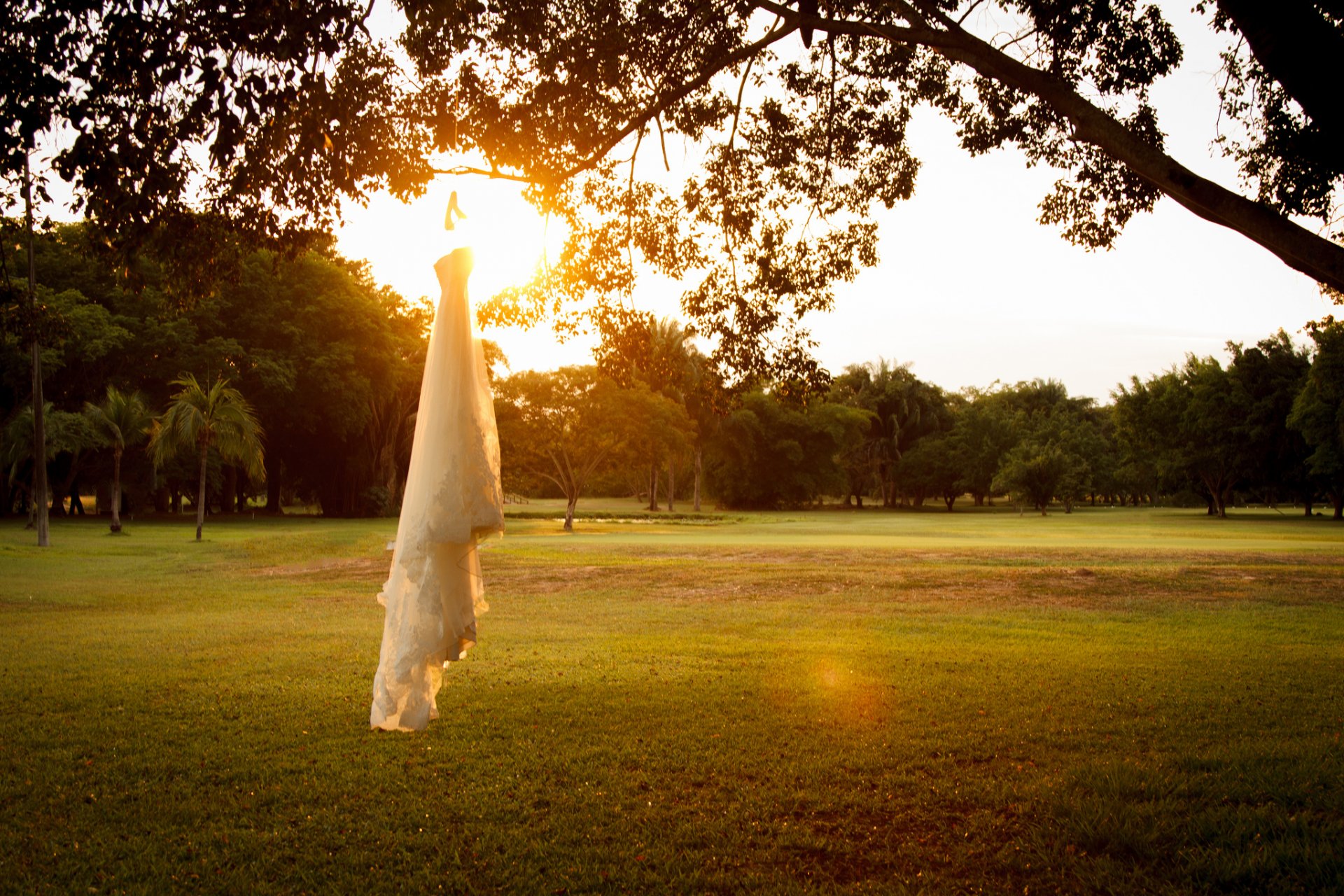 dress sunset tree wedding