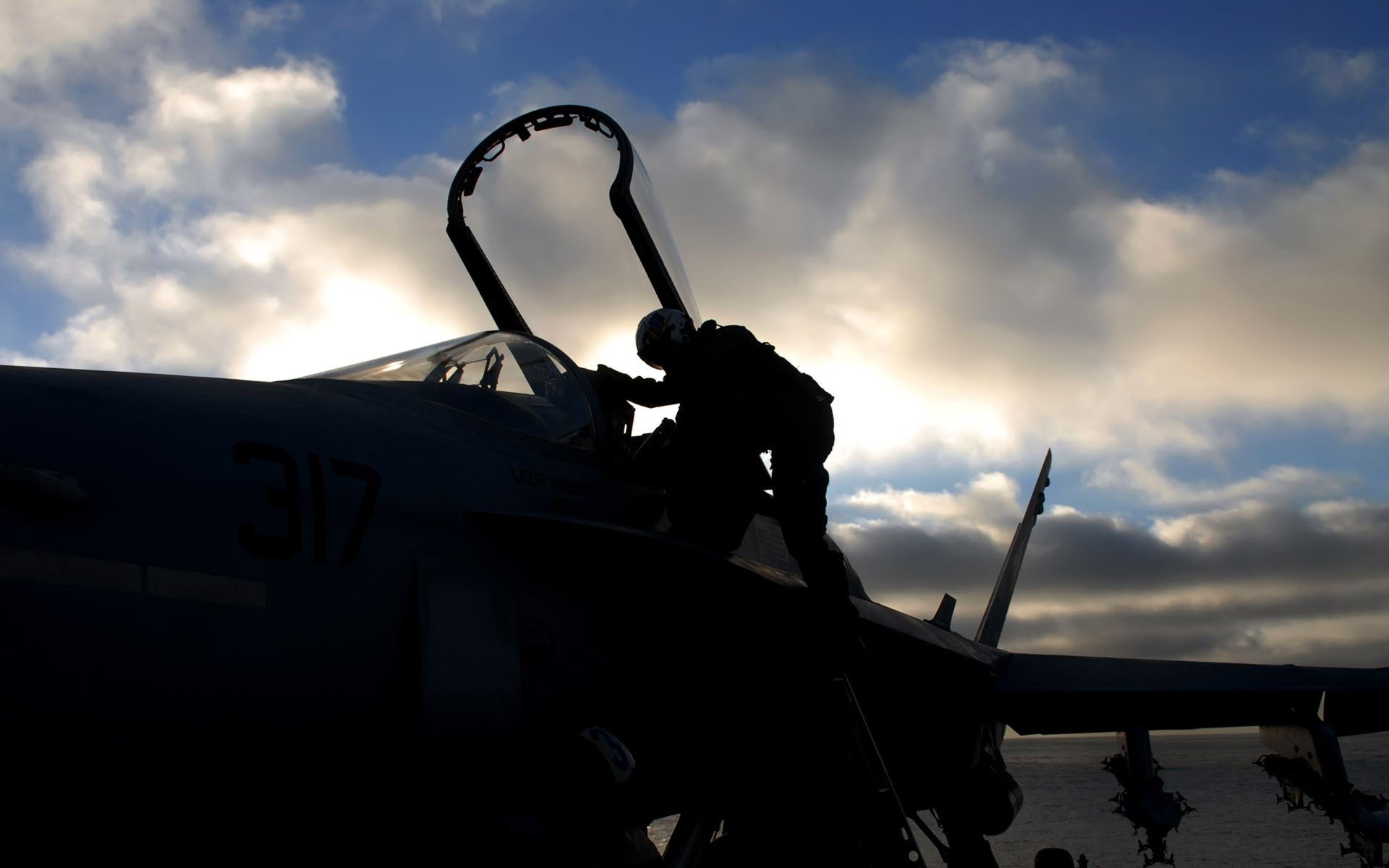 combattant cockpit pilote silhouettes