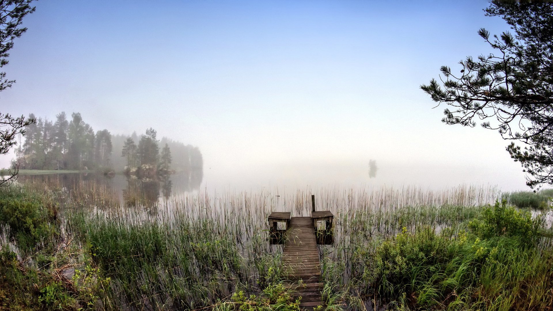 lago ponte nebbia