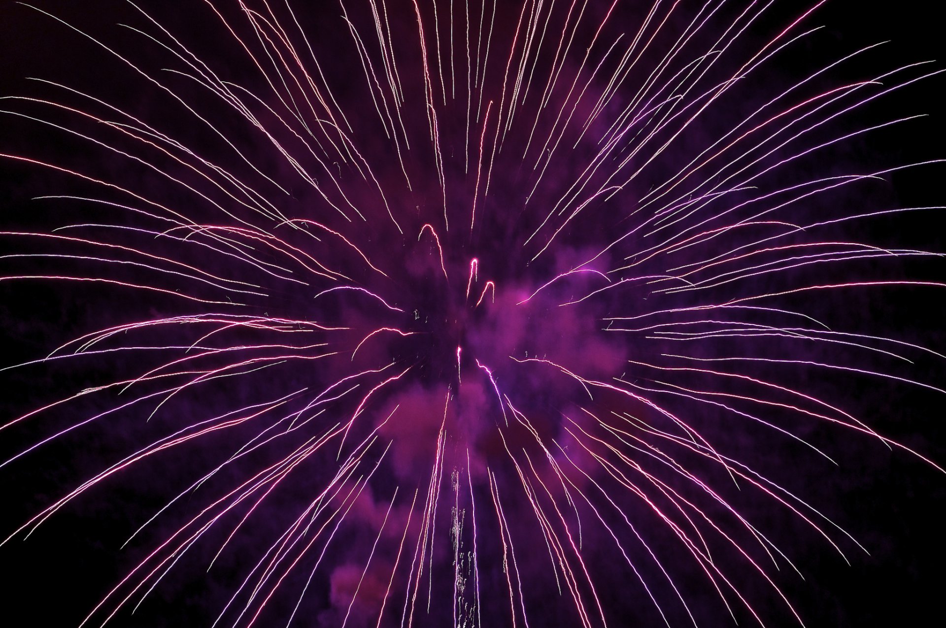 ciel nuit salut feux d artifice lumières