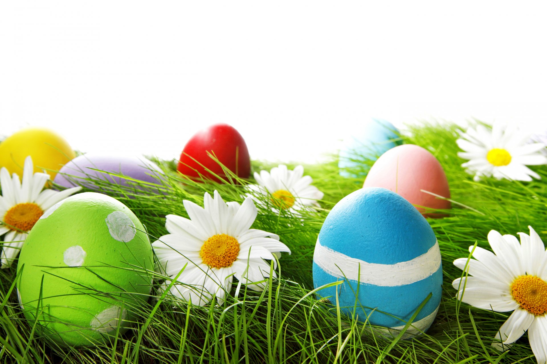 easter spring grass flower egg