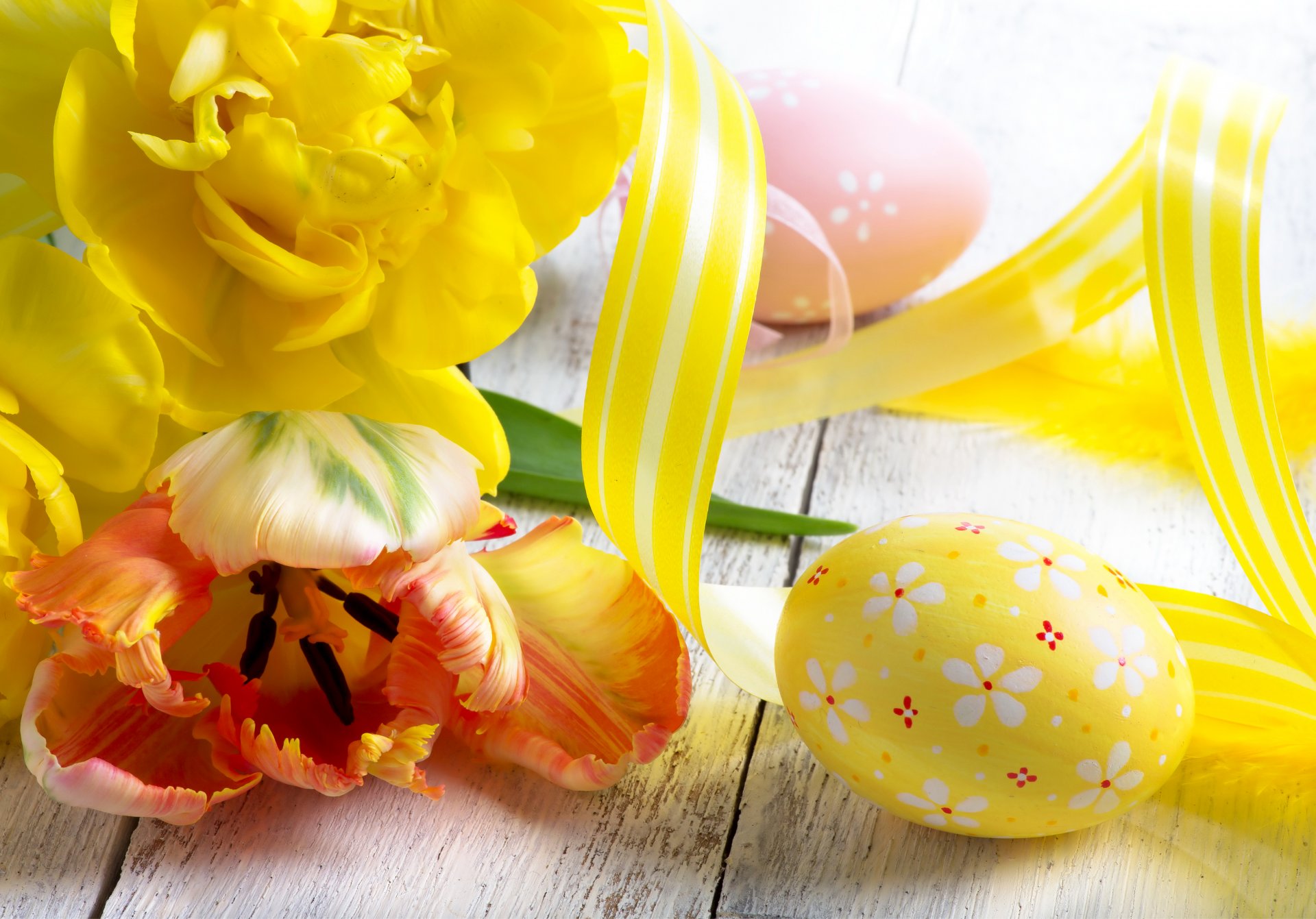 holidays easter tulips eggs yellow flower photo