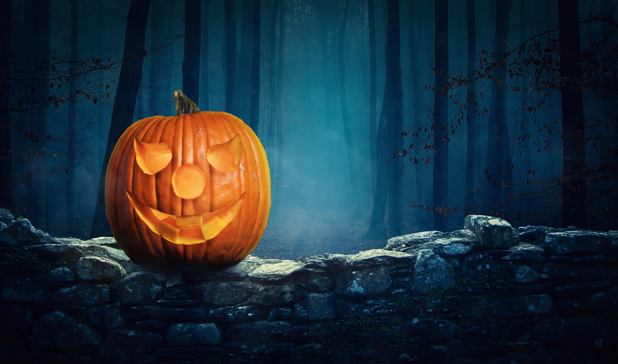 zucca di halloween foresta notte