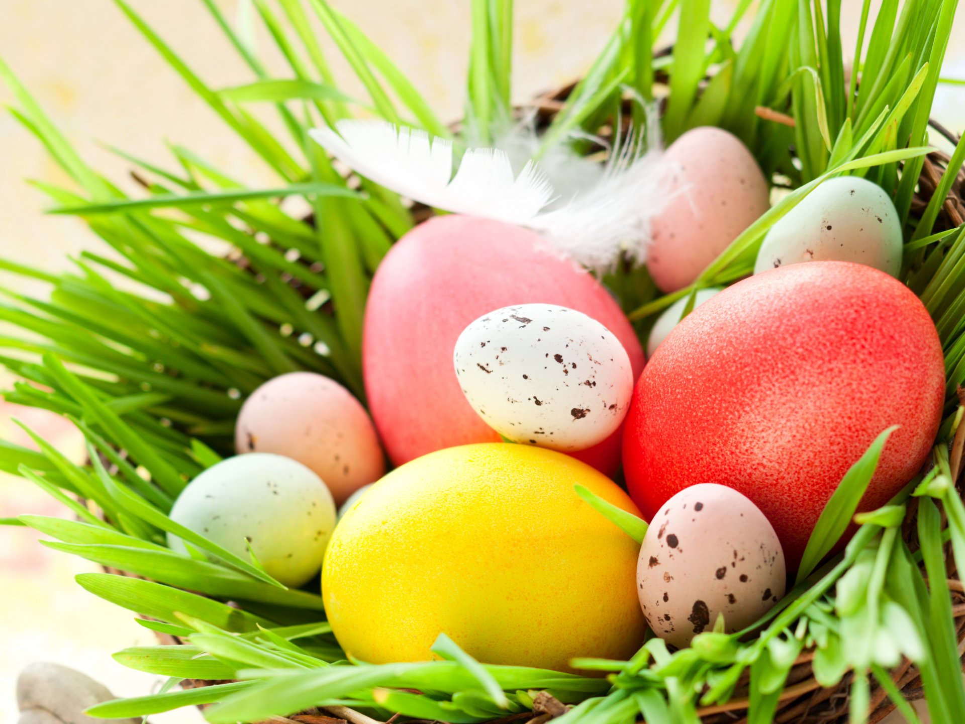 feiertage ostern federn eier nest foto