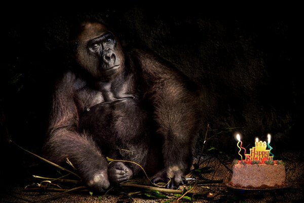Alles Gute zum Geburtstag, mein Affe