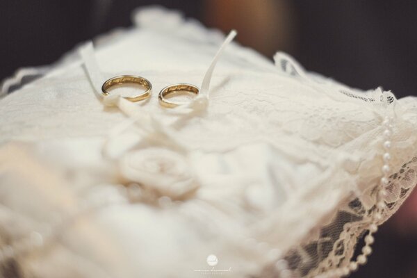 Ringe auf dem Kissen für die lang ersehnte Hochzeit