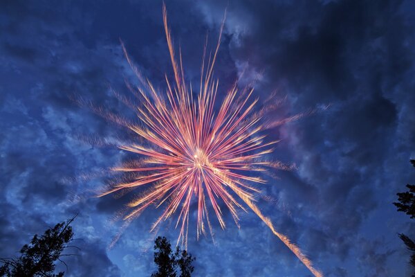 Colorful fireworks on a blue sky background