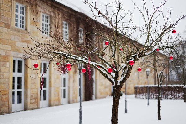 Christbaumspielzeug hängt im Winter an einem Baum im Freien