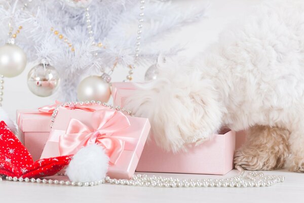 Geschenke in sanften rosa Tönen für das neue Jahr