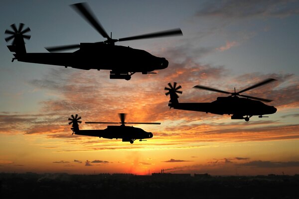 Helicopters flying in the sunset rays