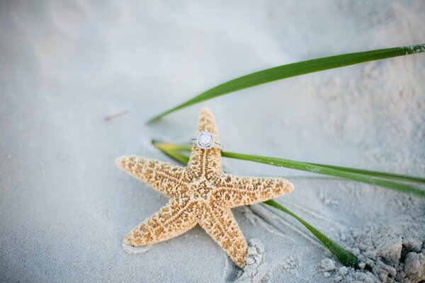 The ring is dressed on a starfish