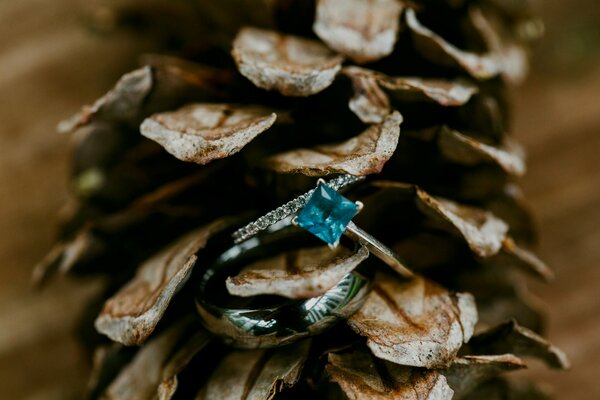 Bague avec topaze dans une pomme de pin