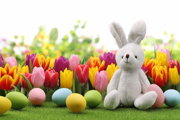 Coniglietto di Pasqua uova e tulipani