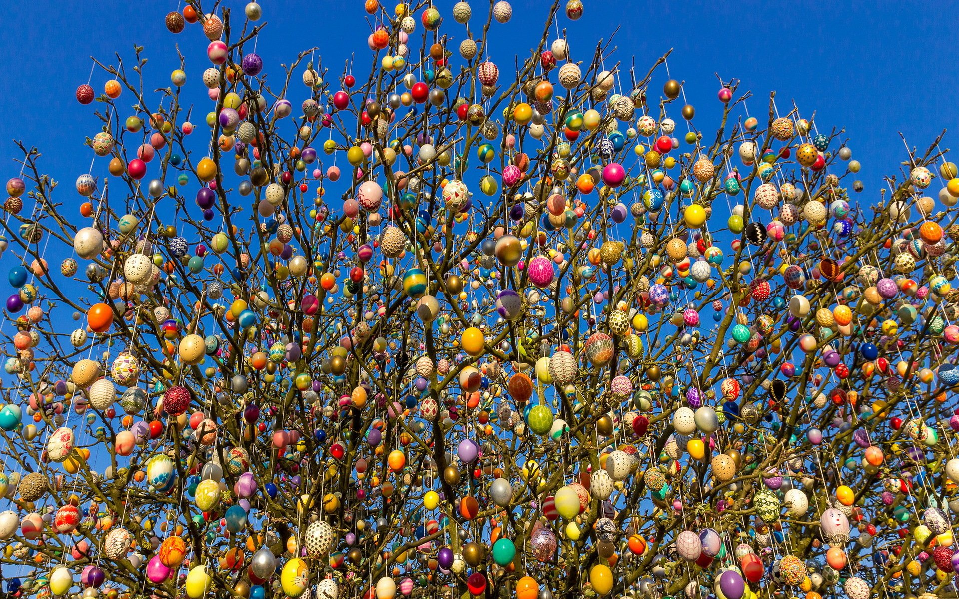 eggs tree holiday