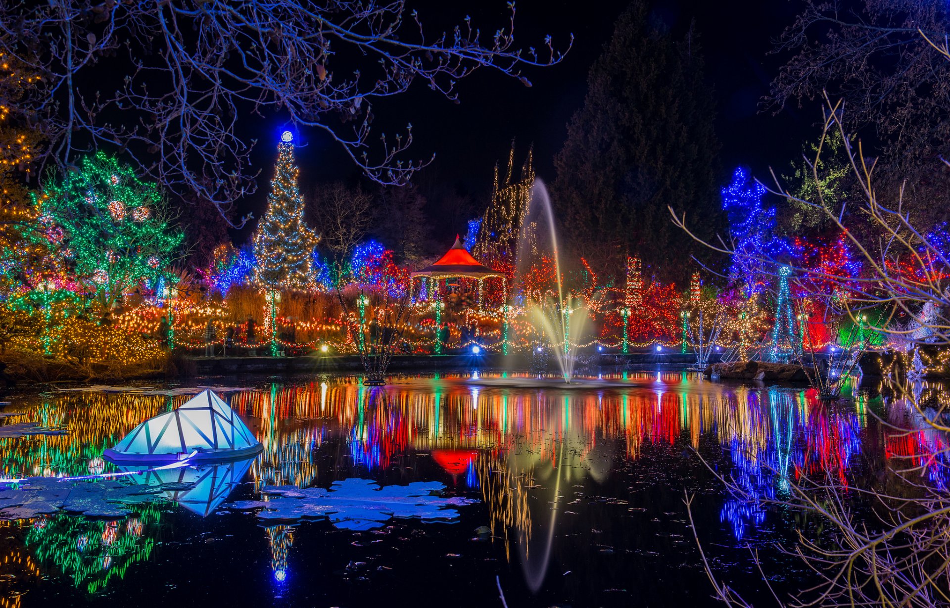 park nacht lichter girlande teich reflexion weihnachten neujahr