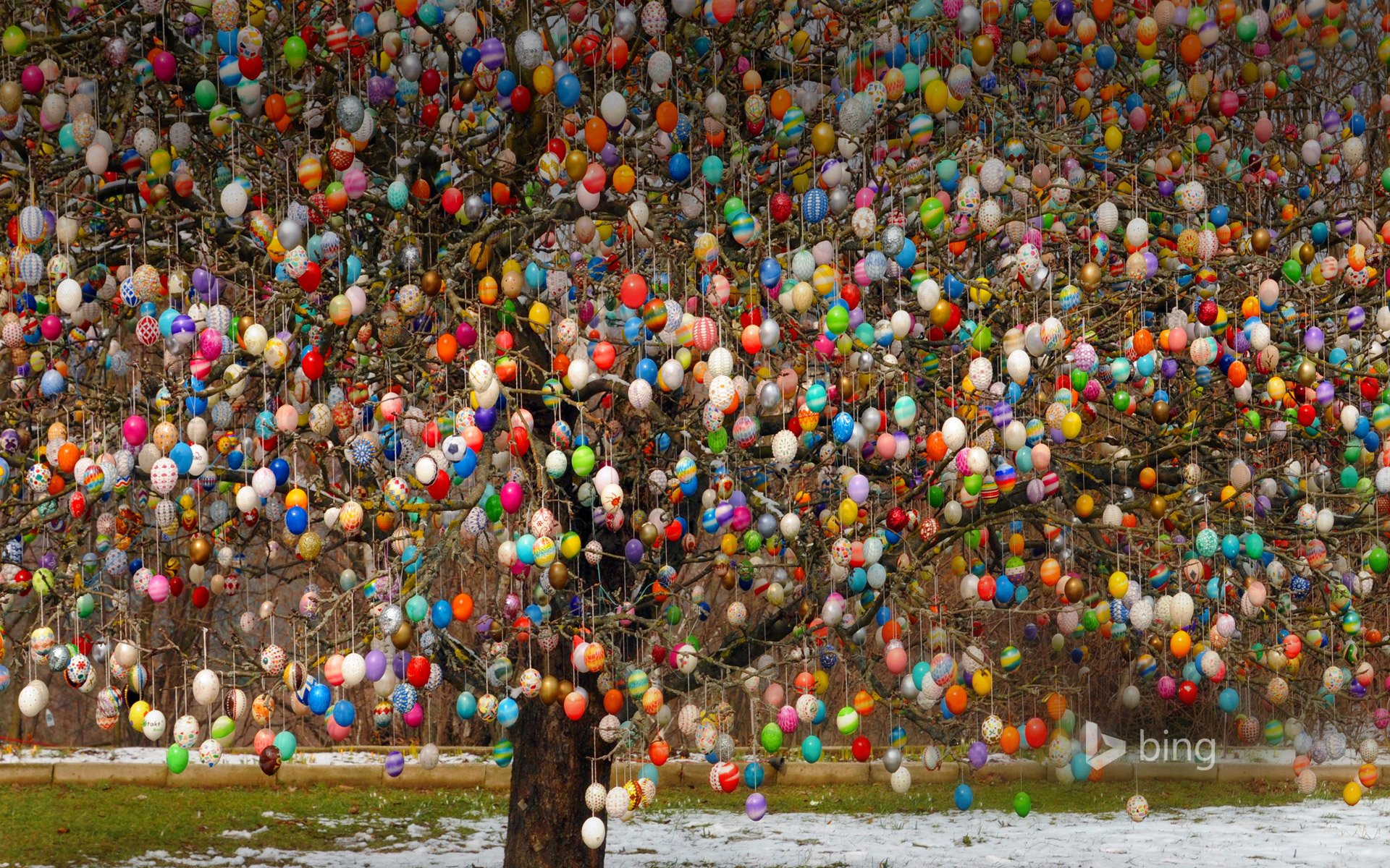 saalfeld deutschland ostern baum eier