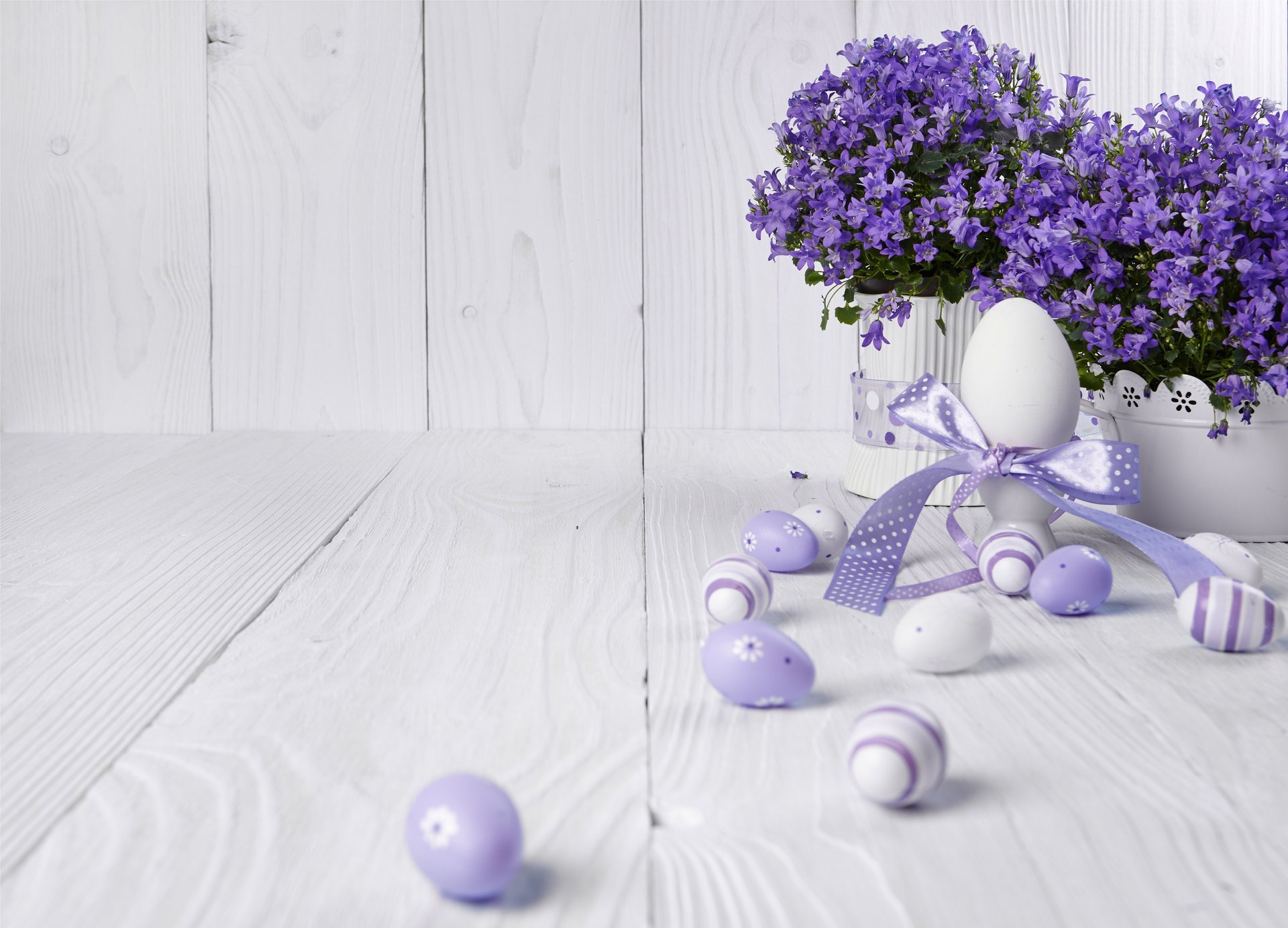 ostern eier frühling blumen lavendel