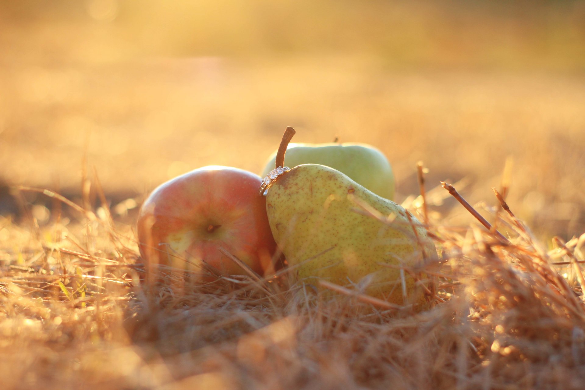 anillo pera manzana