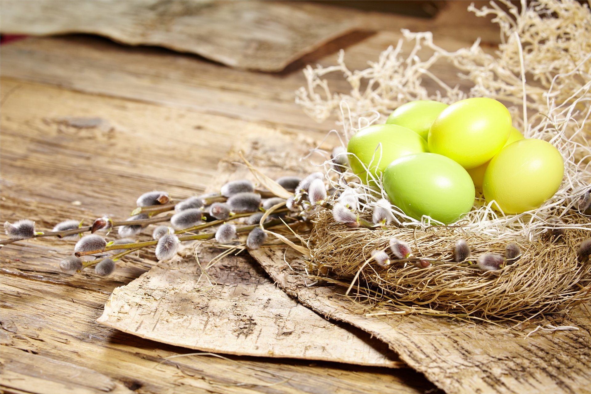 pâques oeufs printemps fleurs nid saule