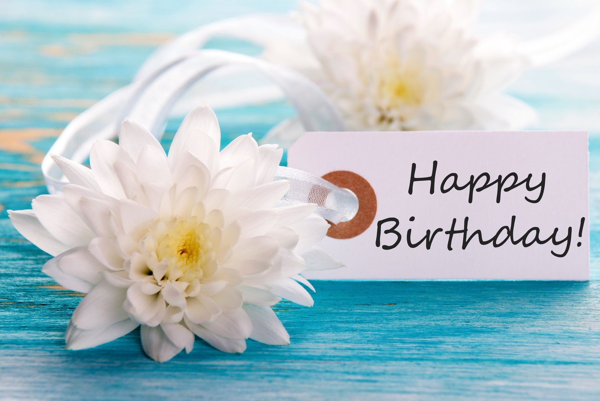 alles gute zum geburtstag blumen postkarte