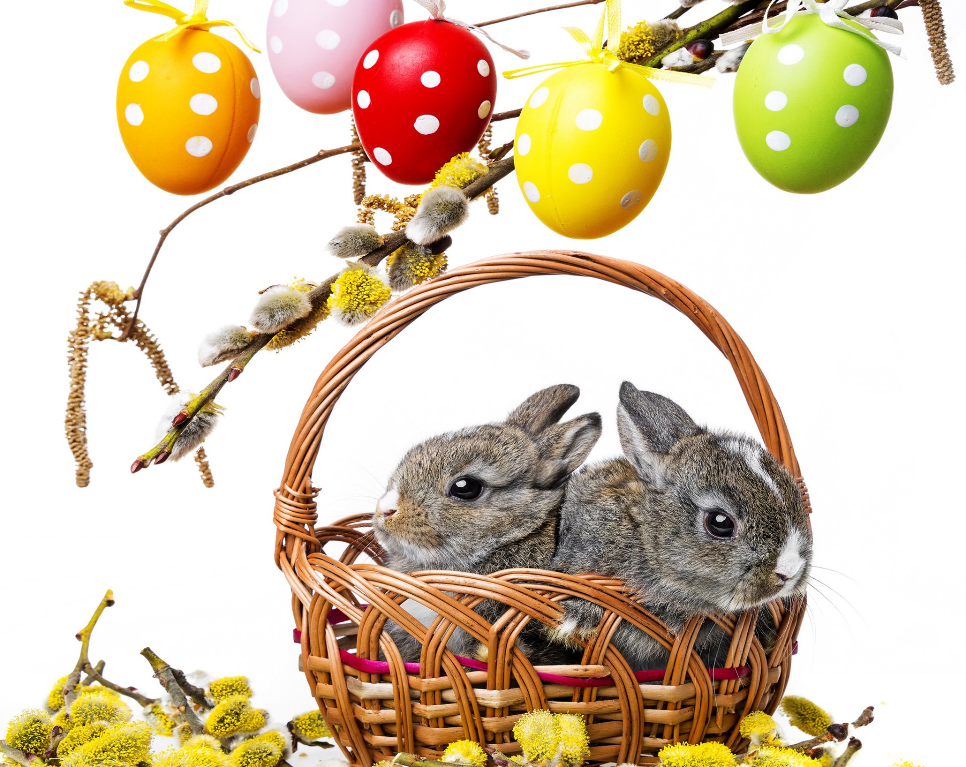 ostern eier korb kaninchen weide